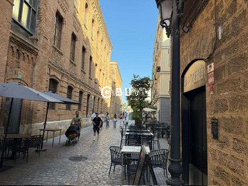 Foto e3fc3b83-0575-41cf-814d-a896dbc56a16. Pis a El Pópulo - Santa María Cádiz