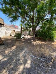 Finca rústica  Córdoba. Se vende terreno urbano 100 residencial, en el centro de almensi