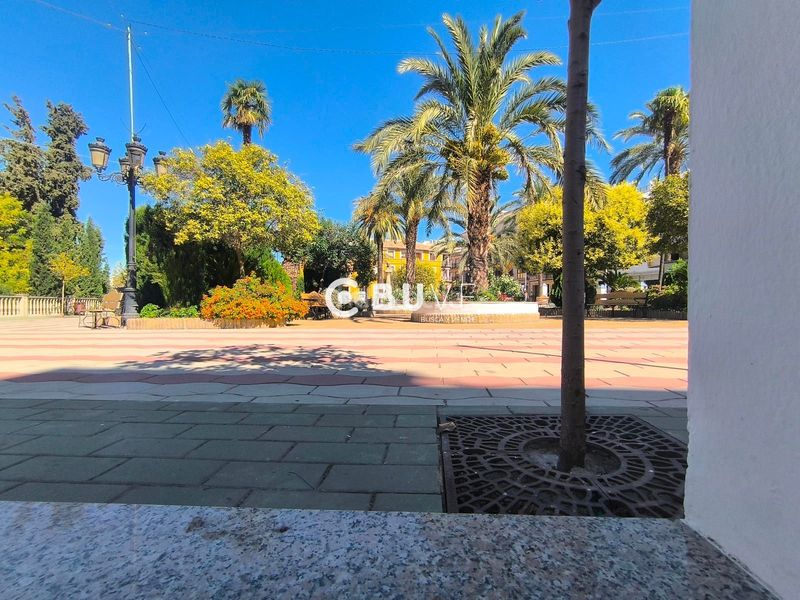 Foto 23a4b7f3-4d51-4b8b-8a48-961ef5f66414. Local comercial a Rute