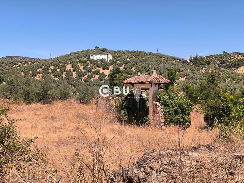 Foto 0c8540ca-3d09-41ad-8a55-5b87230d35c3. Finca rústica a Rute