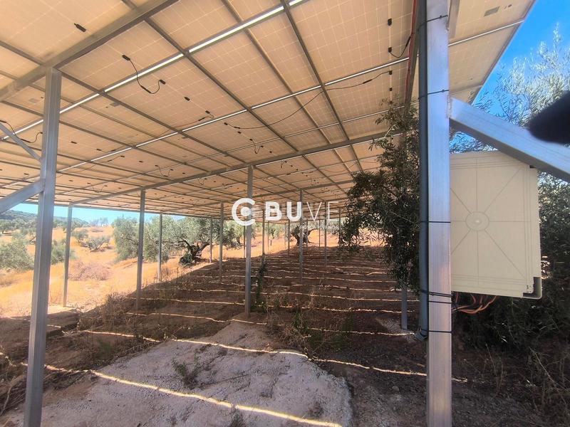 Foto 2518d4ba-9258-4995-8d1c-62224a6c89d5. Finca rústica a Rute