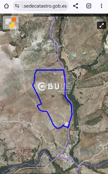 Foto 3e1f7078-ef10-487e-87a7-2837134df66a. Finca rústica a Rute