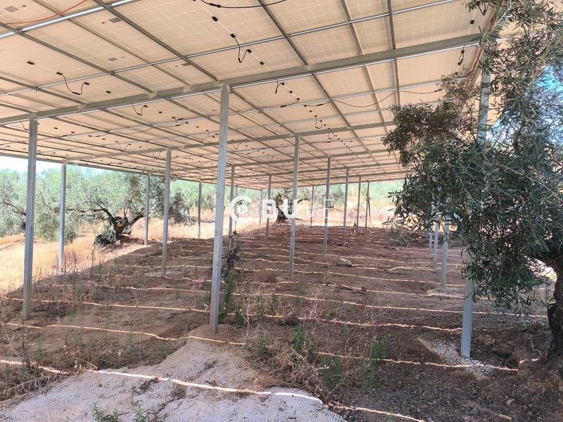 Foto 44d0f3c8-5afa-460c-9243-d8b291ad9adf. Finca rústica a Rute