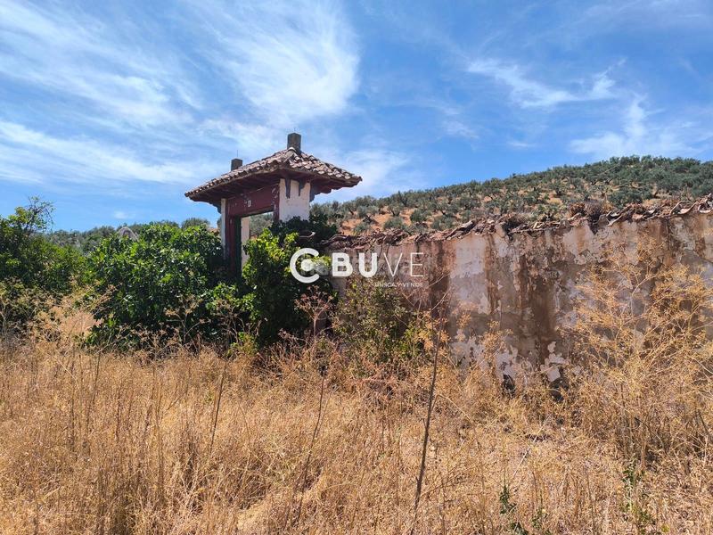 Foto bb8ad57c-8a5a-4d45-918e-225431bf8cbd. Finca rústica a Rute