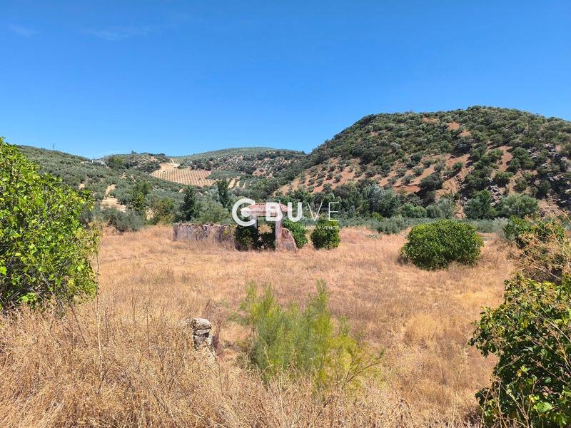 Foto c6c10a7d-680c-41f2-b95f-7ed0293dc60f. Finca rústica a Rute