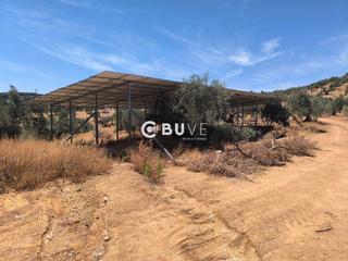 Propriété  Carretera de lucena a loja a-331. En rute 24 hectáreas urbanas para residencia hotel.