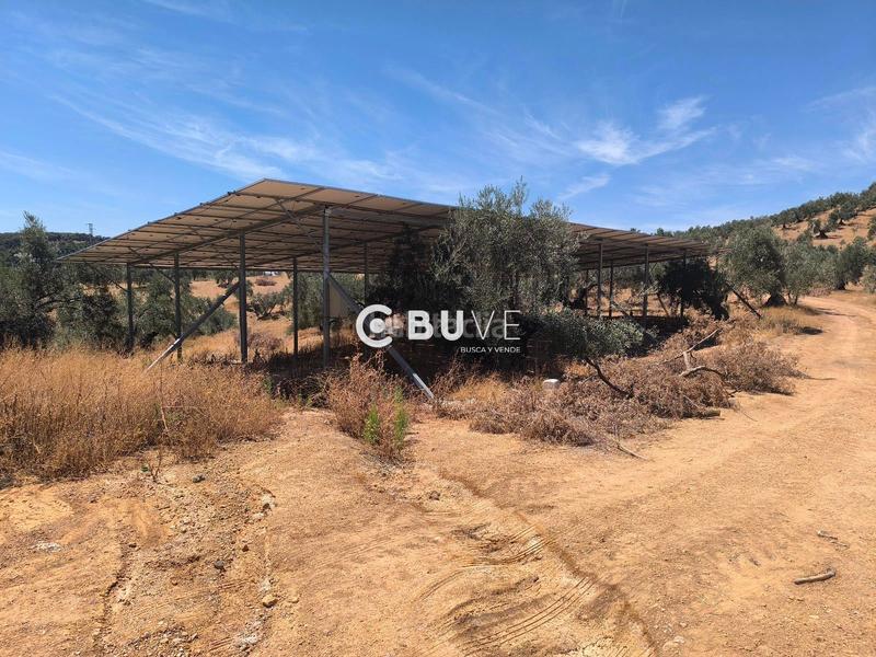 Foto ee4488f8-8f7f-4b87-8905-e9e4502167e7. Finca rústica a Rute