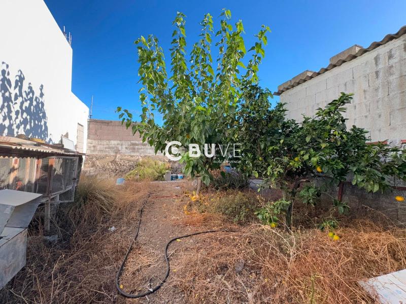 Foto 5984462c-f410-43e1-bc8c-3189c184a7f8. Finca rústica parcela de 130 metros en Centro Güímar