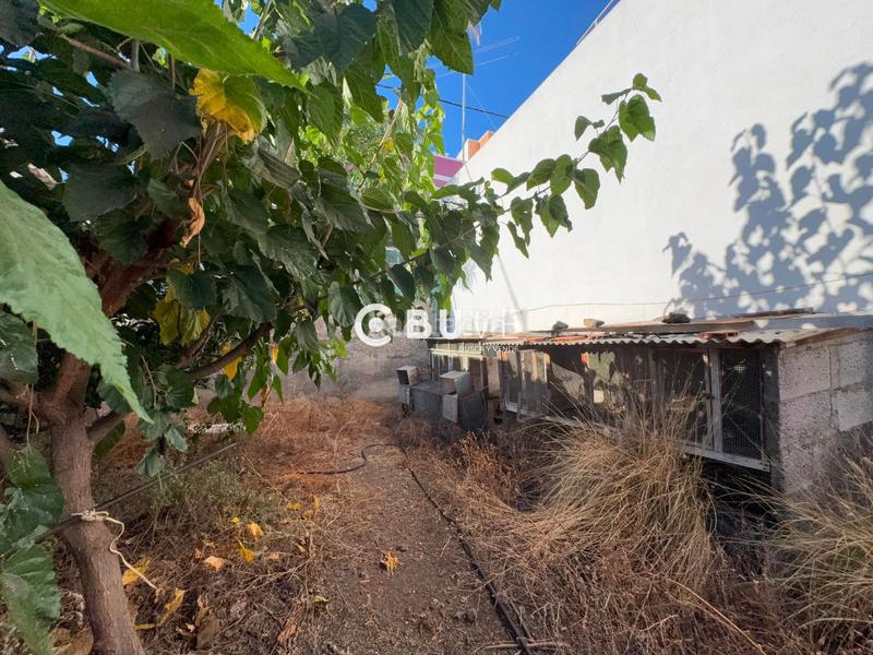 Foto 8ae91014-d969-4dc0-a679-f095801c39d1. Finca rústica parcela de 130 metros en Centro Güímar