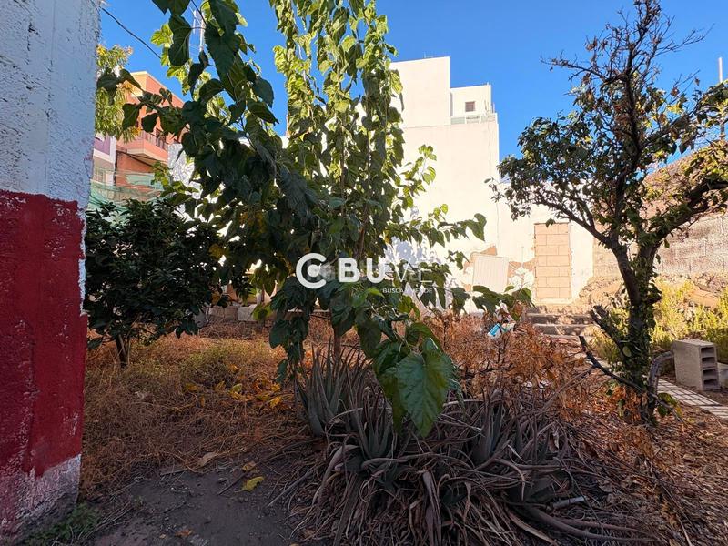 Foto ac5ec639-9ff8-4bd5-9dce-d292978a0e14. Finca rústica parcela de 130 metros en Centro Güímar