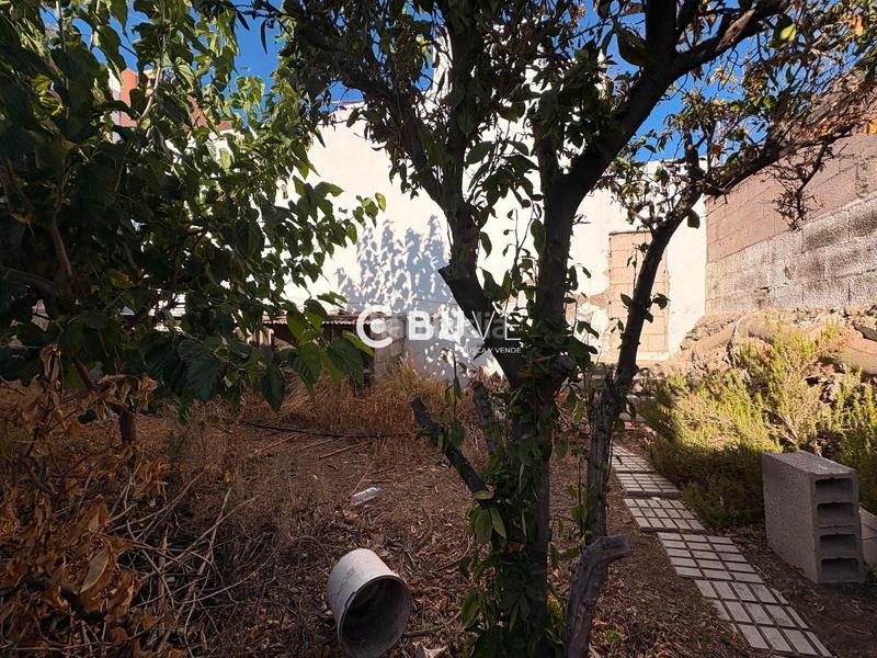 Foto c47918bf-3eb4-473a-a923-dbc20666c85a. Finca rústica parcela de 130 metros en Centro Güímar