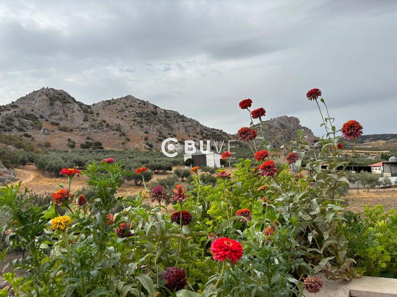 Foto fe4006f9-58c9-44f0-a418-e15a907ad6df. Casa amb calefacció aparcament a Cuevas del Becerro
