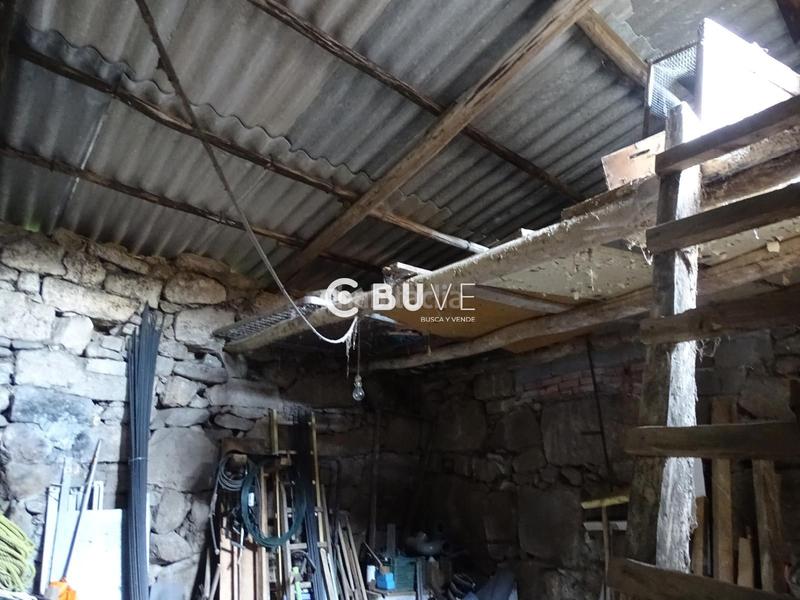 Foto b1c0220d-f8b4-44d7-9bec-77762189e652. Pis a Rois