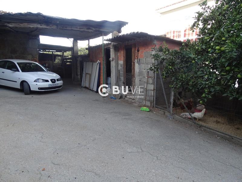 Foto c339529a-5c74-4817-9942-74b7912e96c2. Pis a Rois