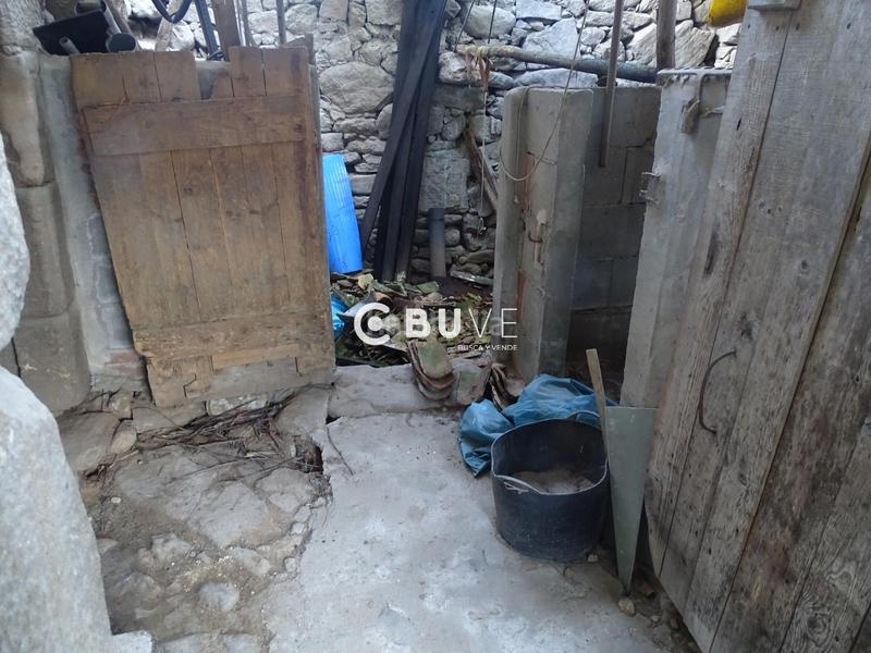 Foto d535ac8a-cf66-4db0-a728-70edf4746a71. Pis a Rois