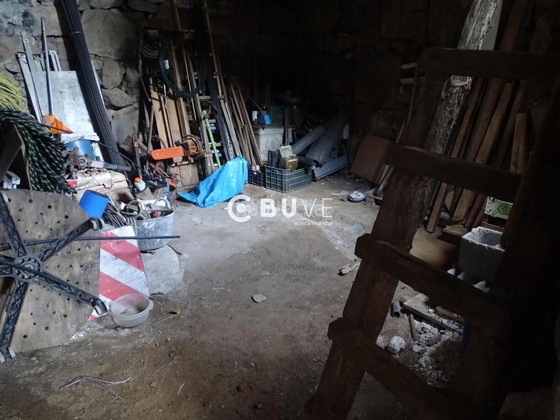 Foto d78c65cd-454d-4fb2-b9c6-d0b8c7d9c15b. Pis a Rois