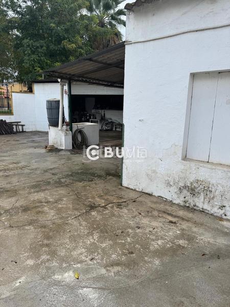 Foto 262ef6db-0191-419a-9aa4-47cab6bf089c. Finca rústica a Gelves