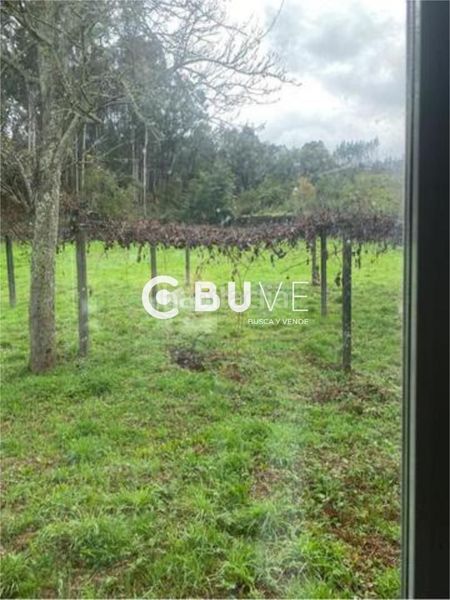 Foto fa4908a2-5c3d-4c35-8d01-f940e202a76c. Casa a Rois