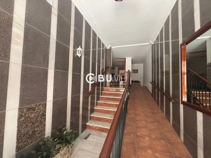 Foto b6b362c2-d357-4a9d-a209-3bd65e19be54. Pis a Cueva de Menga Antequera