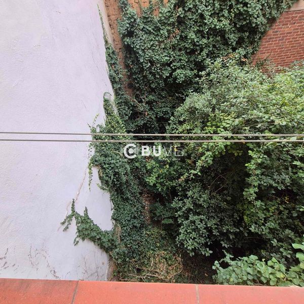 Foto ef2f6047-1508-437d-9cd3-f1de4ef46207. Edificio  padre isla en Las Eras de Renueva León