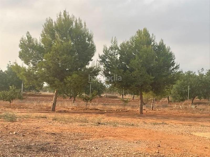 Foto 526f9cef-a7b2-47fc-a27f-8473fc631171. Fondo rustico in La Magdalena - Molinos Marfagones Cartagena