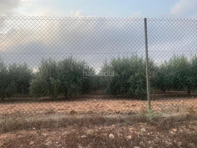 Foto 637d3a83-66fd-4557-bd36-4295239ac31c. Fondo rustico in La Magdalena - Molinos Marfagones Cartagena