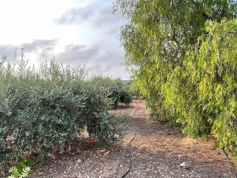 Foto a2287791-38f6-42ac-b158-52cf933c5053. Fondo rustico in La Magdalena - Molinos Marfagones Cartagena