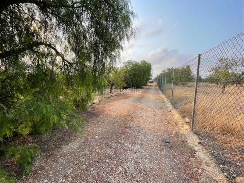 Foto b5881f77-f0c4-4b63-a8c8-da9298474fb2. Fondo rustico in La Magdalena - Molinos Marfagones Cartagena