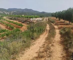 Finca rústica  Carretera t-240 s/n. Finca rústica en la bisbal del penedés