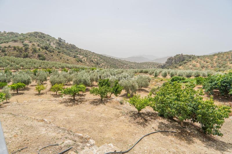 Foto 13234dad-60e7-4e36-a8d0-0c5e082cee52. Wohngrundstück in Colmenar