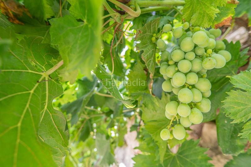 Foto 233dc87b-2cc5-4e1f-a338-7e55efaa5b85. Wohngrundstück in Colmenar