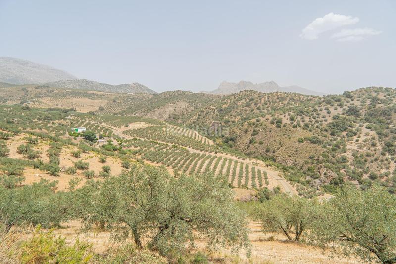 Foto 2a5ea2b9-2def-4bd0-98df-b883e5fa106a. Wohngrundstück in Colmenar