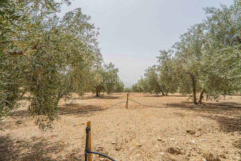 Foto 49d56df1-a385-489b-9277-08c3b89bbd67. Wohngrundstück in Colmenar