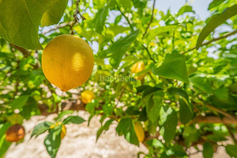 Foto 7bcb79c3-5912-4319-b19a-56b4071c4654. Wohngrundstück in Colmenar