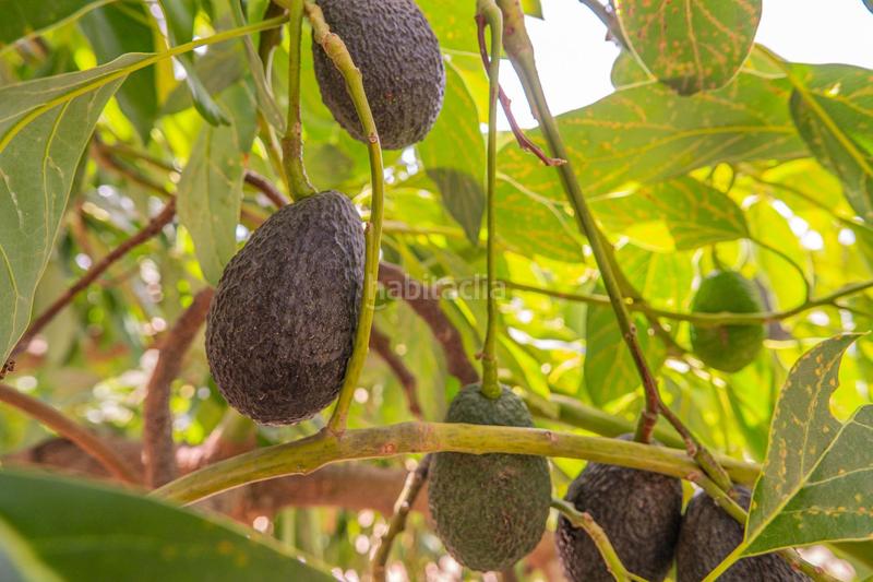 Foto be614ebe-46b1-46b2-8c57-4a4f68634c13. Wohngrundstück in Colmenar