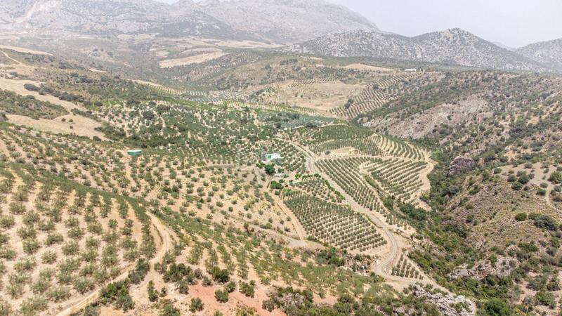 Foto dbe61ac8-7fa1-4c69-a163-0d01dd0a15bd. Wohngrundstück in Colmenar