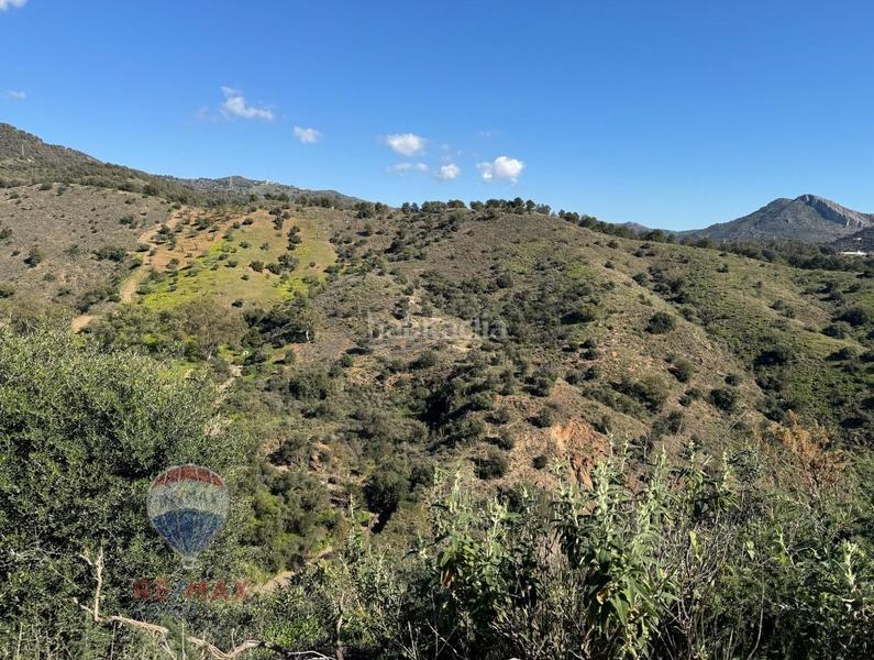 Foto 1e349bce-db90-49af-b789-77a96eacc59b. Residential plot in Limonar Málaga