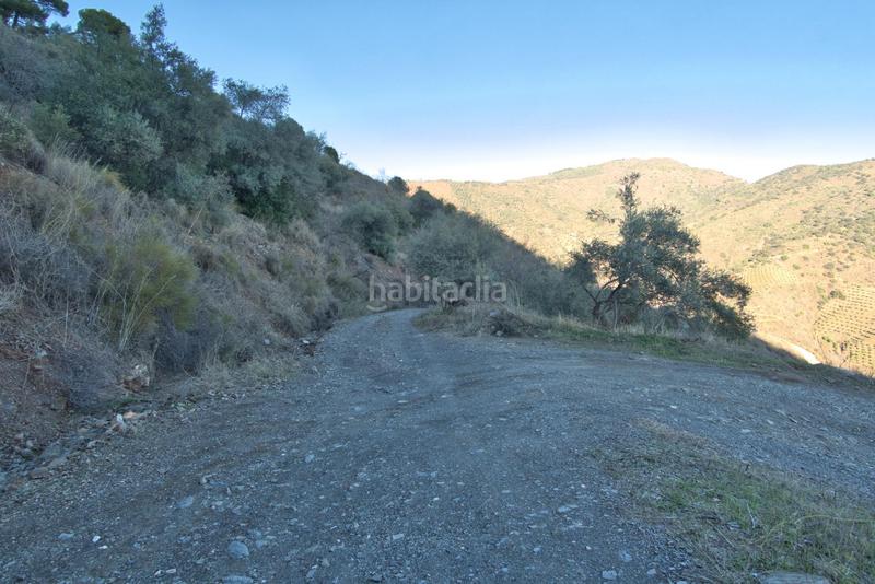 Foto 0fb2f03a-6a44-4b94-9178-bace8b6ca4c5. Fondo rustico in Olías Málaga