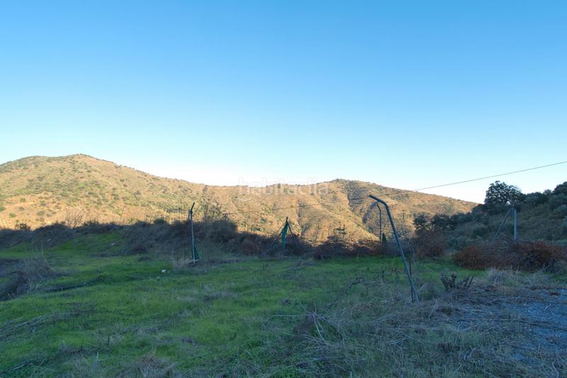 Foto 2fa557d6-39df-4bd8-8b64-85908c8162e5. Fondo rustico in Olías Málaga