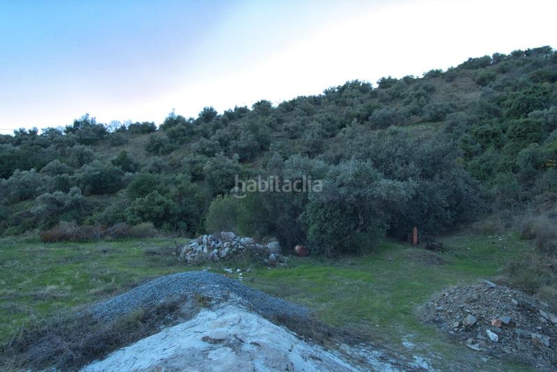 Foto 5ac6c459-1f72-46ca-adf2-57f8208ee6a2. Fondo rustico in Olías Málaga