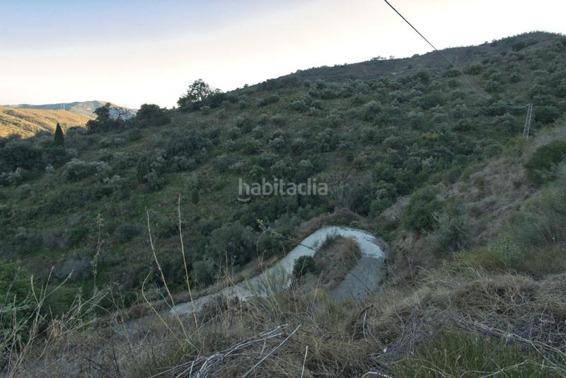 Foto b834f9b9-00e1-4579-ac7b-d85cb470767b. Fondo rustico in Olías Málaga