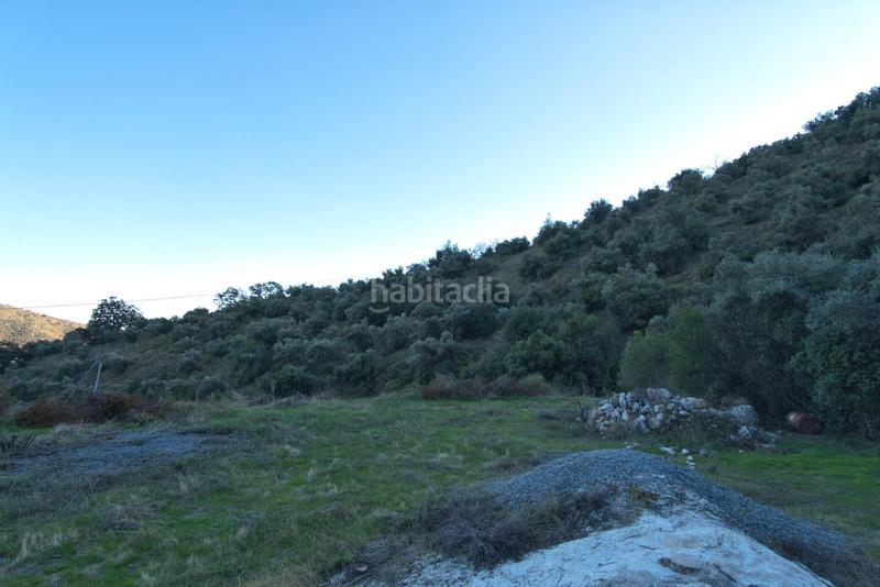 Foto c59244ad-f1a1-4f79-aa0c-d0da37ad7cc9. Fondo rustico in Olías Málaga