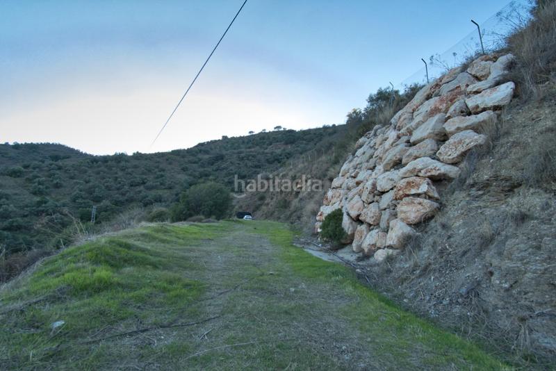 Foto c91082d7-2cd7-4b27-b882-fa9d7f9ba48d. Fondo rustico in Olías Málaga