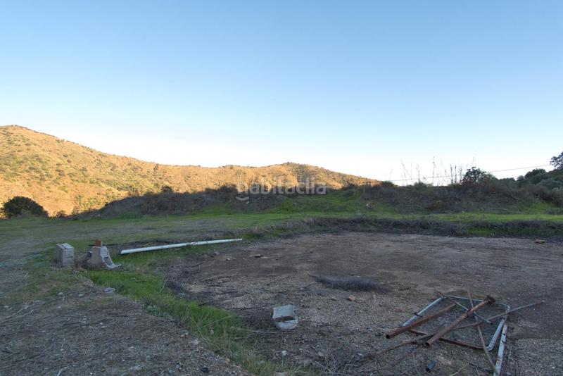 Foto ddf15cb2-0e59-4d8e-9a5e-a284f9156bc7. Fondo rustico in Olías Málaga