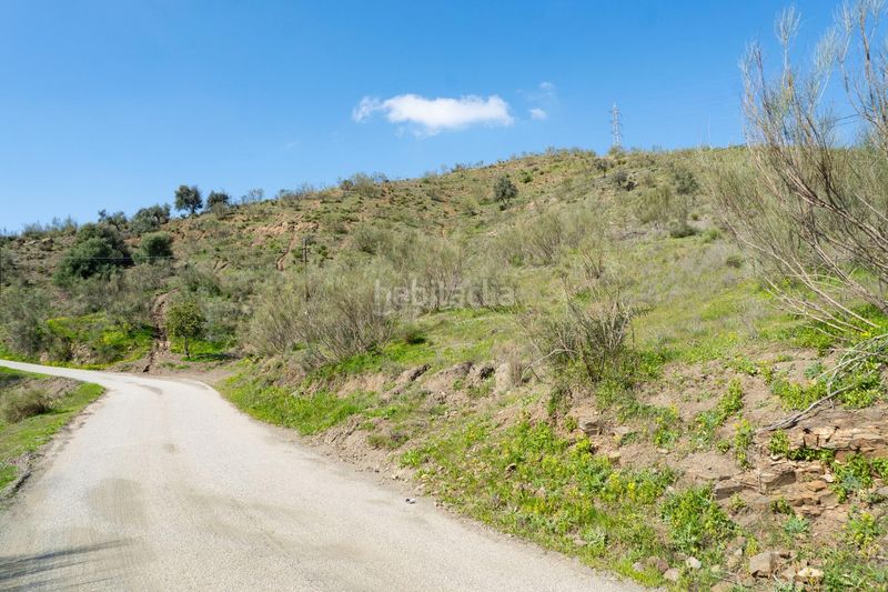 Foto 299a54e9-a3dd-47b9-8a4d-133d8cea2263. Finca rústica a Añoreta Golf - Paraíso del Sol Rincón de la Victoria