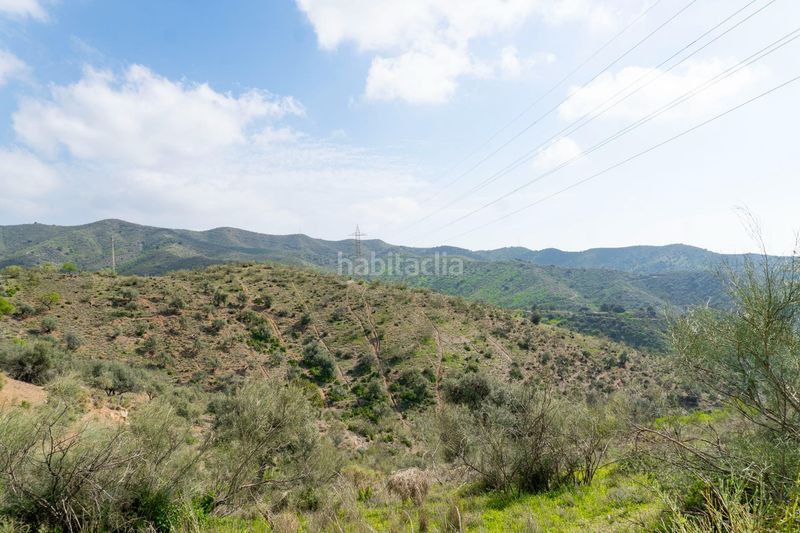 Foto 40c54061-a29f-4fa9-b5eb-eab1aad36166. Finca rústica a Añoreta Golf - Paraíso del Sol Rincón de la Victoria