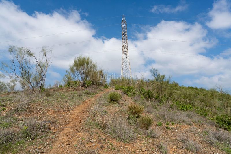 Foto a41b1509-5798-49ba-b149-2df46ee589e3. Finca rústica a Añoreta Golf - Paraíso del Sol Rincón de la Victoria