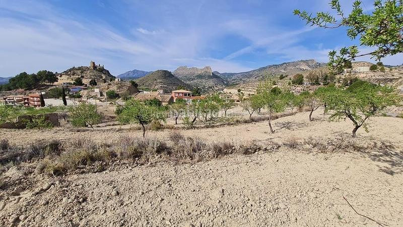 Foto c77e611c-69b9-4007-9827-9d06fb77bfa7. Terreno residencial en Relleu