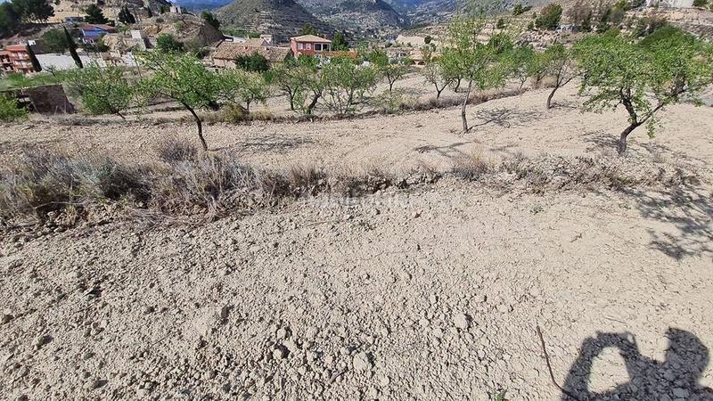 Foto cb601c1d-508b-45da-b907-92c4d456ff16. Terreno residencial en Relleu