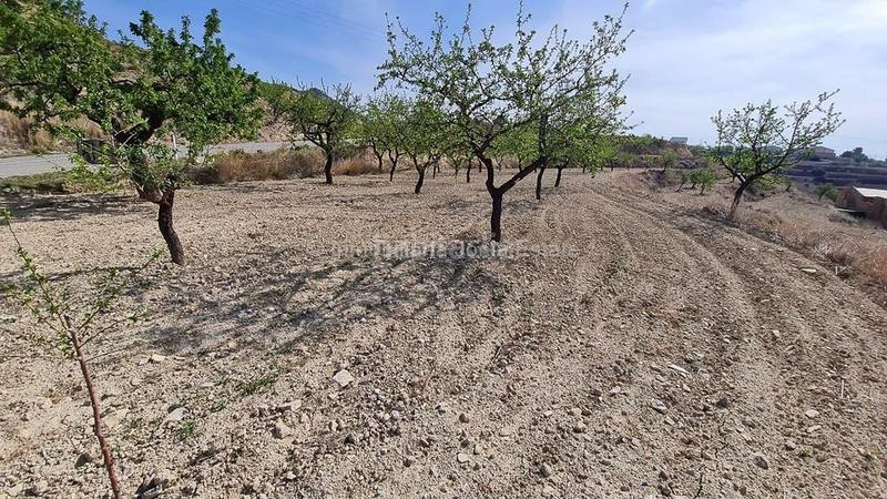 Foto c02d02ec-1ac5-4b5a-985f-2a78657511af. Terrain résidentiel dans Relleu